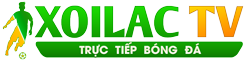 Timviec365 - phim châu tinh trì